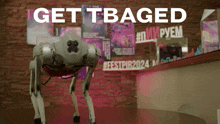 a robot is standing in front of a wall that says get tbagged