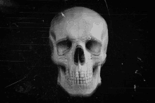 Glitch Skull GIF - Glitch Skull Dark GIFs