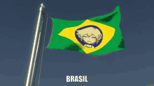 a green yellow and blue flag with a boy on it and the word brasil underneath it