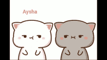 Aysha Asd GIF - Aysha Asd Aysha Asd GIFs