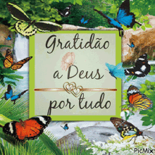 gratid%C3%A3o a deus thank you thank god for everything butterfly nature
