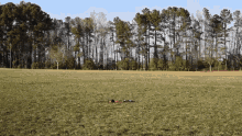 Drone Wasted GIF - Drone Wasted GIFs