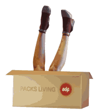 packs living edp box package feet shoes