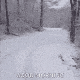 Snow Run GIF
