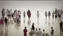 a blurry picture of a group of people walking along a beach