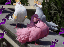 Pigeons Cosplay GIF