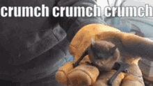 Bat Crumch GIF - Bat Crumch GIFs