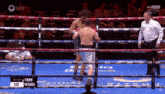 a boxing match between itauma and mezencev