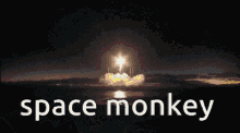 Space Monkey Space GIF - Space Monkey Space Monkey GIFs