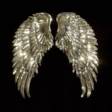 Wings Angels GIF - Wings Angels GIFs