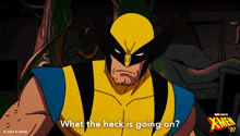 What The Heck Is Going On Wolverine GIF