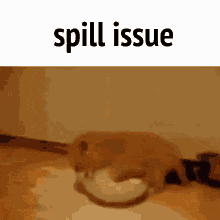 spill issue