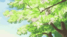 Anime Sky GIF - Anime Sky Sakura GIFs