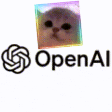 an openal logo with a cat in a rainbow box