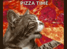 Pizza Time Pepperoni GIF - Pizza Time Pepperoni Funny Cat GIFs