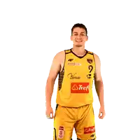 a basketball player wearing a yellow jersey with the number 9 on it