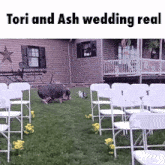 tori and ash wedding real with a pig and cat