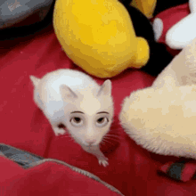 a white hamster with a cartoon face is sitting on a bed with stuffed animals .