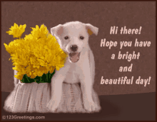 Hi There Hope You Have A Bright And Beautiful Day GIF