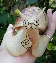 a snail with glasses and a hand drawn on it