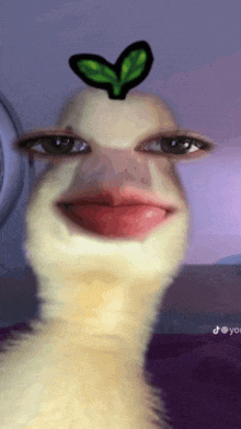 a picture of a duck with a heart on its head