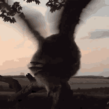 Flapping My Wings Robert E Fuller GIF - Flapping My Wings Robert E Fuller Ready To Fly GIFs