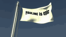 Flag Pauline GIF - Flag Pauline Epic GIFs