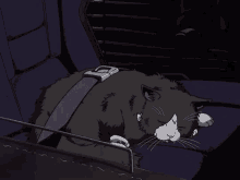 Kitty Cat GIF - Kitty Cat Sleeping GIFs
