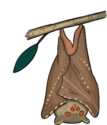 Bat Fruit Sticker - Bat Fruit Island Tube Nosed Bat Stickers