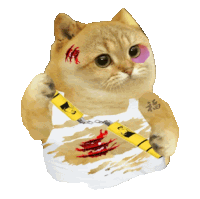 Catcoin Funny Cat Sticker