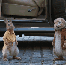 Knocked Out Peter Rabbit2the Runaway GIF - Knocked Out Peter Rabbit2the Runaway Fall GIFs