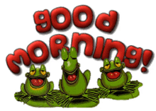 good morning frogs smile blink