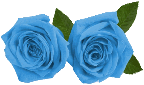 Rosas Azul Transparente Sticker - Rosas Azul Transparente Stickers
