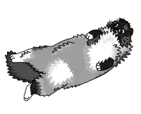 a black and white drawing of a fluffy cat laying on its back