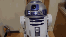 GIF