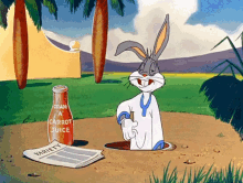 Bugs Bunny Whats Up GIF
