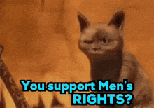 a cat with the words you support men 's rights behind it