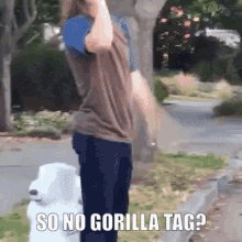 gorilla tag gorilla tag so no gorilla tag vine