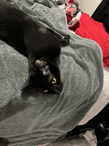 a black cat is laying on a bed with a grey blanket