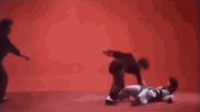 The Thundering Mantis Martial Arts GIF - The Thundering Mantis Martial Arts Fight GIFs