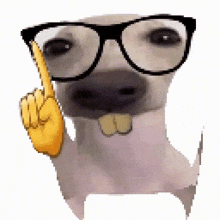 a dog wearing glasses and making a middle finger sign .