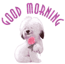 Dog Goodmorning GIF