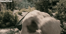 smeagol 's friend is written on the bottom of the picture