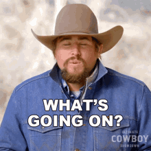 Whats Going On Coy Melancon GIF - Whats Going On Coy Melancon Ultimate Cowboy GIFs