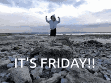 Friday King Of The Castle GIF - Friday King Of The Castle Beach GIFs