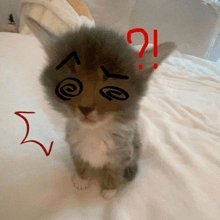 a kitten is sitting on a bed with a drawing of a star and the word ye on its face