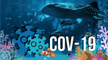 a picture of a whale shark and corals with the words cov-19 in white