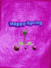 a pink background with the words happy spring on it