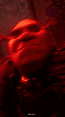 a close up of shrek 's face with danilovx in the corner