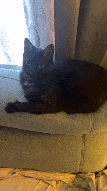 Mr Peepers Cat GIF - Mr Peepers Cat Yawn GIFs